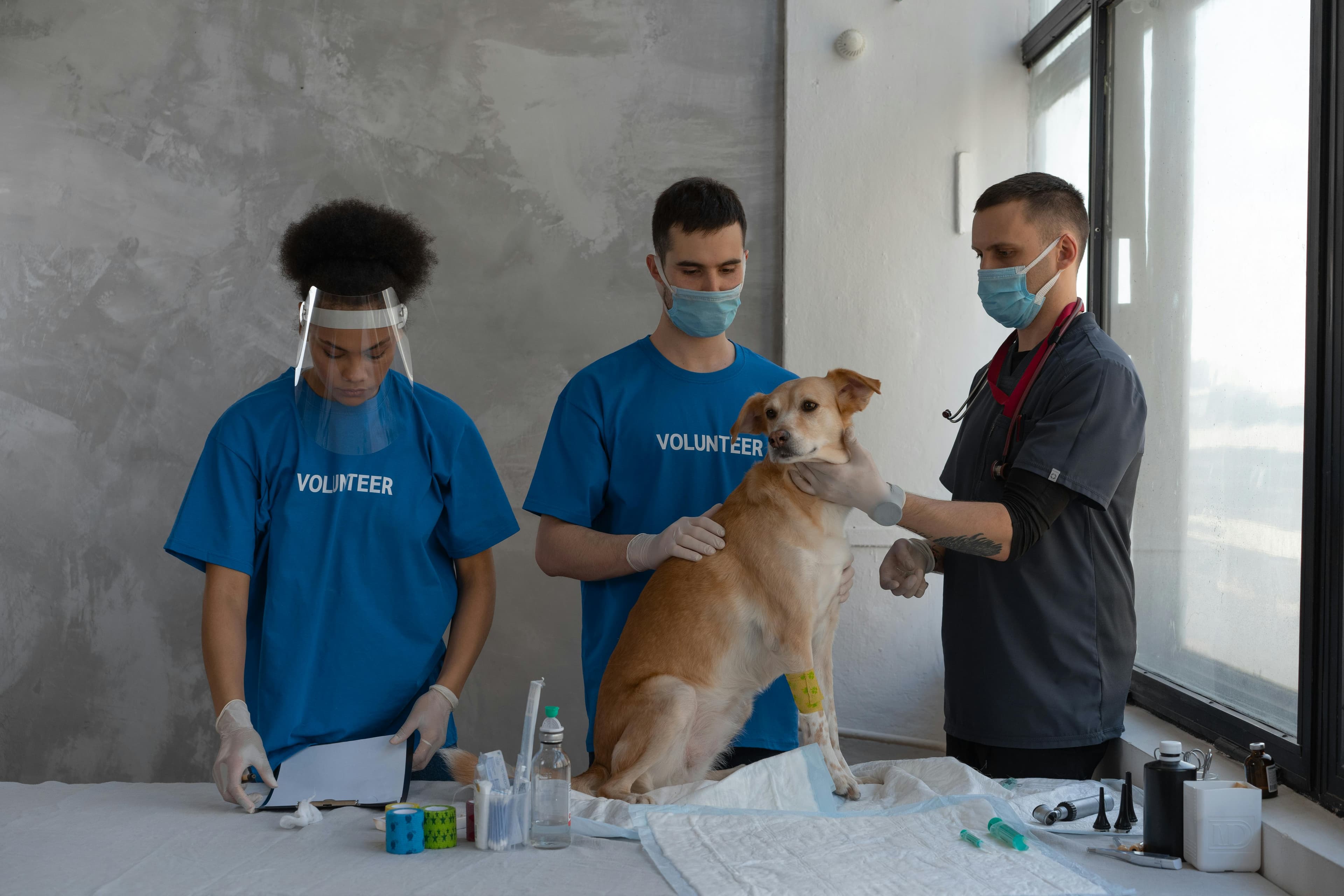 Comprehensive inventory management and precise veterinary supply chain solutions.